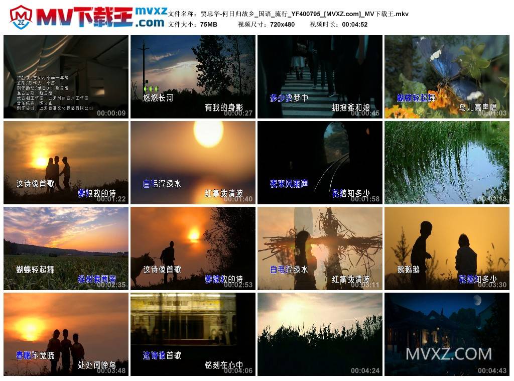 贾忠华-何日归故乡_国语_流行_YF400795